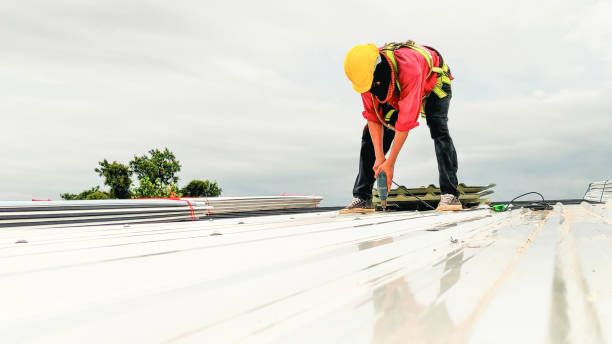 Best Emergency Roof Repair Services  in Nampa, ID