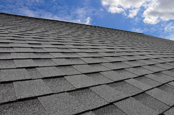 Best Roof Ventilation Installation  in Nampa, ID