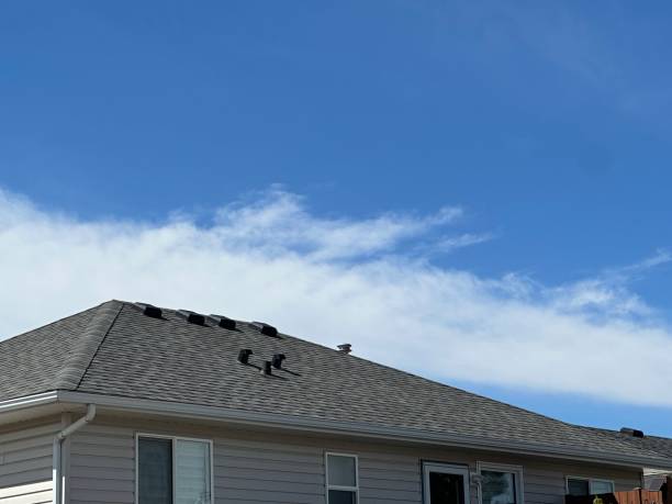 Best Rubber Roofing (EPDM, TPO)  in Nampa, ID