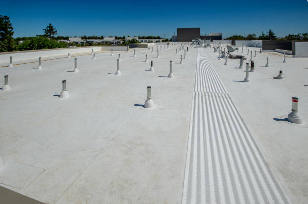 Best Roof Coating and Sealing  in Nampa, ID